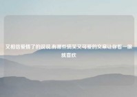 又相信爱情了的说说,有哪些搞笑又可爱的文案让你看一眼就喜欢