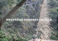 香港搞笑电影语录(我是如来佛祖张卫健经典语录)