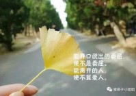 霸气经典情感说说：让你感同身受的句子
