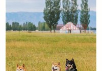 哈密约会的地方推荐：最浪漫景点与活动一网打尽