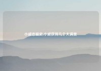 小威恋爱史,小威获得几个大满贯