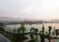 黄石东楚论坛人气怎么样？每天好多人都在！