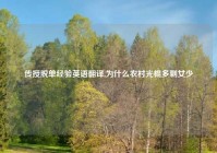 传授脱单经验英语翻译,为什么农村光棍多剩女少