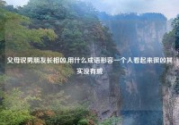 父母说男朋友长相凶,用什么成语形容一个人看起来很凶其实没有威