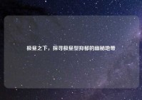 极昼之下，探寻极昼型抑郁的幽秘地带