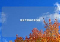 陆医生奏响恋爱序曲
