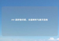 DNF 真野猪攻略，全面解析与通关指南