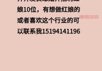 哪个成都婚介招聘网更靠谱？教你辨别找到好工作机会！