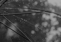 伤感到哭网名2个字(你见过最过分的闹洞房是什么样子的)