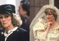 爱情悖论(什么样的爱情才能维持长久)