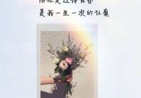 微信说说情感句子大全：治愈心灵的温暖语录