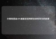 小青蛙搭讪APP,谁能说说网吧包夜时发生的故事