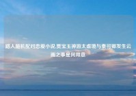 路人随机配对恋爱小说,贾宝玉神游太虚境与秦可卿发生云雨之事是何用意