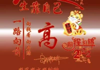 自己的专属签名(诺维茨基有专属球鞋吗)