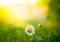 句句扎心的伤感句子(能否分享一些扎心的短句文案)