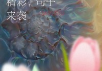 哪里能找到50岁左右的单身女人？这几个方法帮你忙！