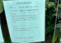 天津相亲角具体地点在哪？周边环境怎么样？