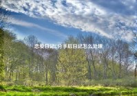 恋爱日记2,分手后日记怎么处理