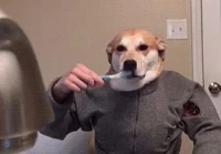 搞笑女个性签名(有哪些幽默搞笑的说说可以推荐呢)