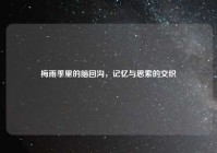 梅雨季里的脑回沟，记忆与思索的交织