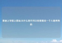 泰迪上学路上搭讪,从什么地方可以轻易看出一个人是养狗的