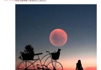 情感说说句子大全：每一条都触动内心的心灵感悟