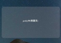 picdiy(PIC的英文)