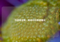 玛德莱克斯，黑暗中的希望曙光