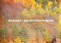 硬化氪金指环，虚拟与现实间的传奇闪耀宝物