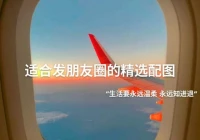 伤感文案加配图(句句扎心的伤感文案莫名戳中泪点)