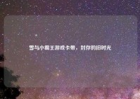 雪与小霸王游戏卡带，封存的旧时光