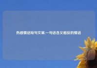 伤感情话短句文案,一句话含义相反的情话