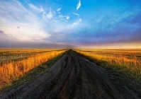 个性签名简短精辟句子(有特别丧的句子吗)