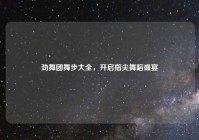 劲舞团舞步大全，开启指尖舞蹈盛宴