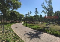 良乡大学城在哪找姑娘？探索最有效的交友途径