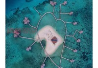 茂名情人岛在哪？揭秘浪漫海岛位置与交通攻略