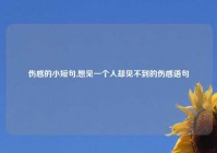 伤感的小短句,想见一个人却见不到的伤感语句