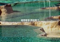 超想脱单,想结婚了