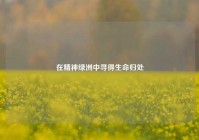 在精神绿洲中寻得生命归处