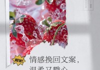 情感挽回说说精选：帮你重燃爱的希望