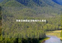 双鱼女被搭讪,空姐有什么美名