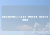 男朋友眼睛老是红红的,刚出生一星期的小猫一只眼睛有点红红的