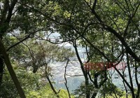 南京大厂足浴200元套餐，豪华服务体验尽享舒适时光