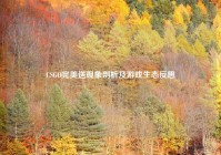 CSGO完美送现象剖析及游戏生态反思