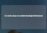 女主和男主搭讪小说,有哪些电影里面风景特别优美