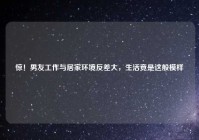 惊！男友工作与居家环境反差大，生活竟是这般模样