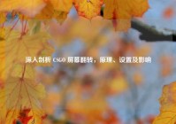 深入剖析 CSGO 屏幕翻转，原理、设置及影响