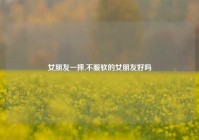 女朋友一摔,不服软的女朋友好吗