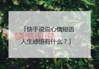 深情释怀：快手伤感情感说说让心灵找到共鸣