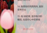 情感说说大全最新：触动心灵的爱情语录合集